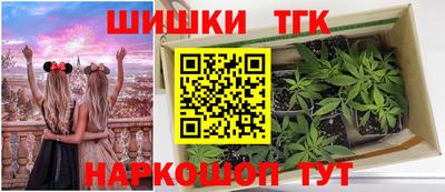 хмурый Камень-на-Оби