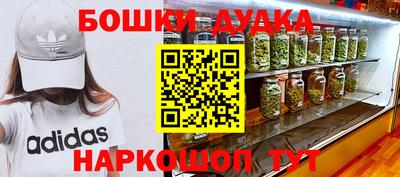 хмурый Камень-на-Оби