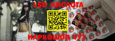 хмурый Камень-на-Оби