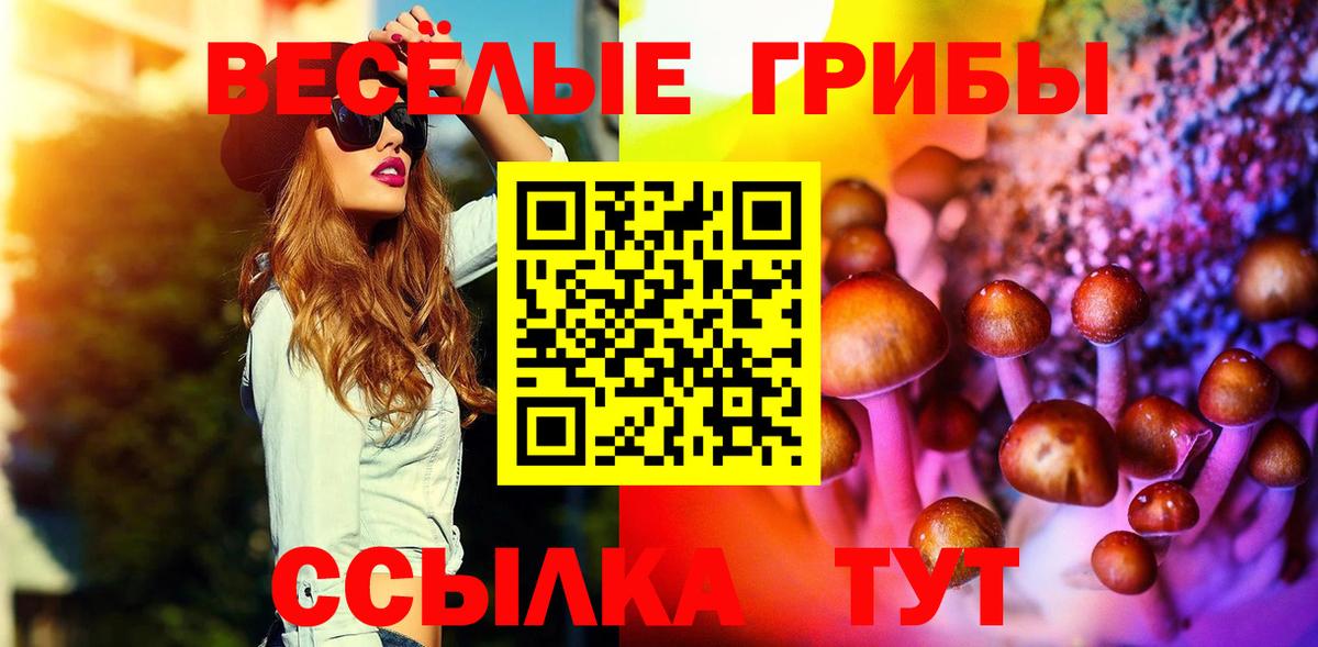 Галлюциногенные грибы Psilocybe  Вход с VPN  Галлюциногенные грибы мухоморы  Каменск-Шахтинский 